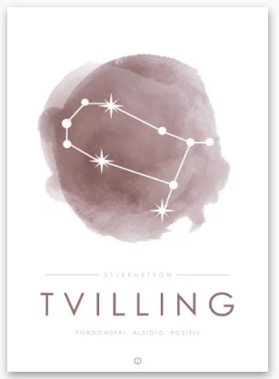 tvilling stjernetegn plakat
