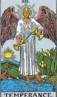 Nej Maadehold - Træk et tarotkort ja/nej