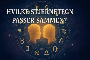 Hvilke stjernetegn passer sammen - Vædder og Skytte